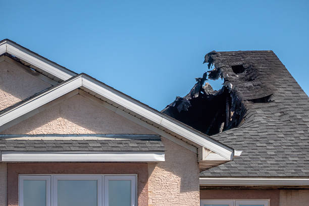 Top rated local Odor Removal specialists in Levittown, PA
